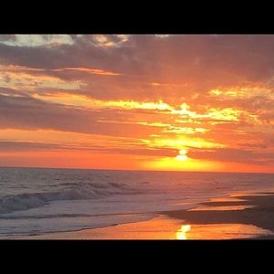 Meet your Posher, Gail