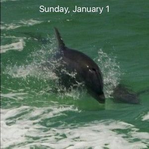 Meet your Posher, Virginia