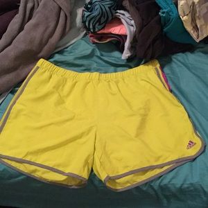 Adidas climalite shorts.