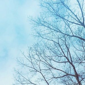 Meet your Posher, Carly