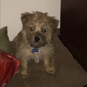 Meet your Posher, Erin