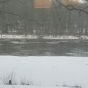 Meet your Posher, Jen