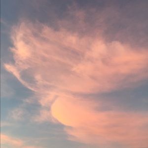 Meet your Posher, Raegan