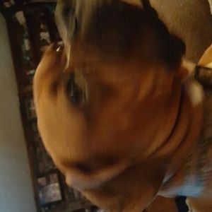 Meet your Posher, Cheryl