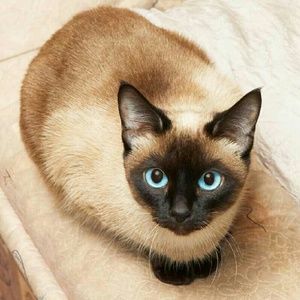 Meet your Posher, Andi