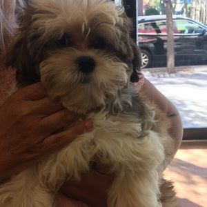 Meet your Posher, Debra