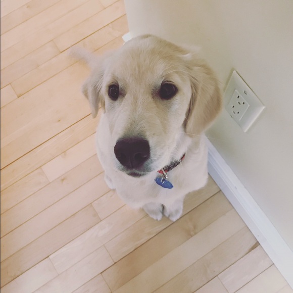 Meet your Posher, Abi