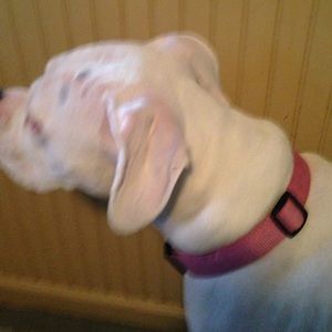 Meet your Posher, Debbera