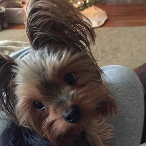 Meet your Posher, Melody