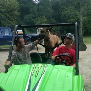 Meet your Posher, Donna