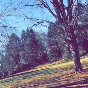 Meet your Posher, Mona