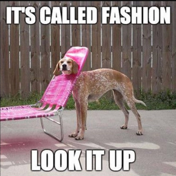 I'm a Suggested User!! 💕💕💕💕 - Picture 3 of 4