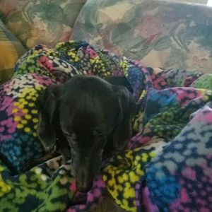 Meet your Posher, Janet