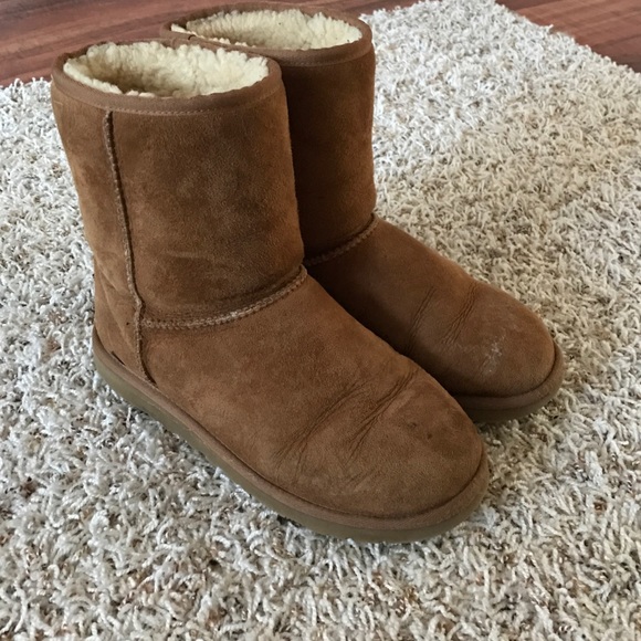 UGG Shoes - Chestnut uggs