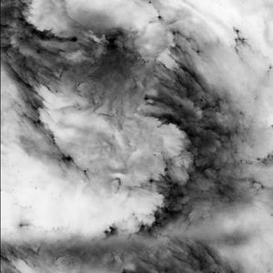 Meet your Posher, Gianna