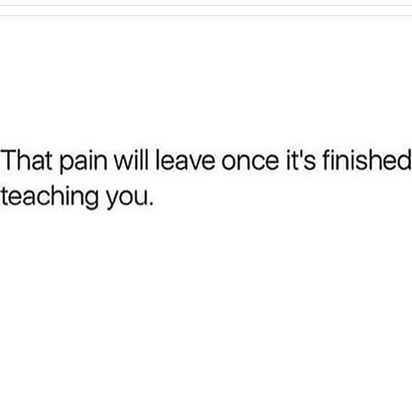 Meet your Posher, Savanna - Picture 1 of 1