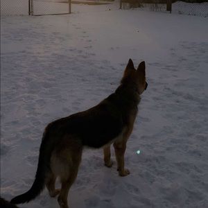 Meet your Posher, Alondra