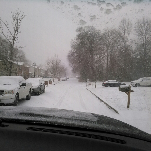 Meet your Posher, Nikki - Picture 1 of 1