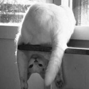 Meet your Posher, Stacey