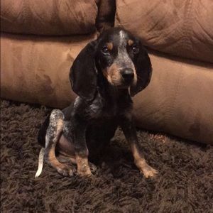 Meet your Posher, Joann