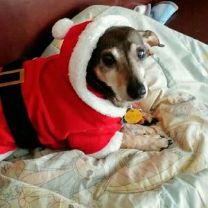 Meet your Posher, Meg