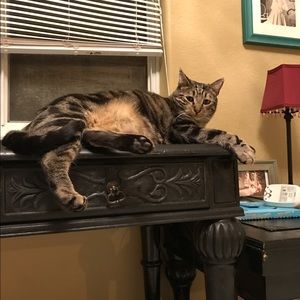 Meet your Posher, Vanessa