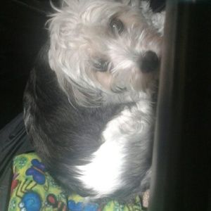 Meet your Posher, Lana