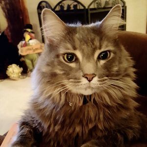 Meet your Posher, Stacy