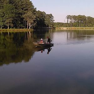 Meet your Posher, Renee