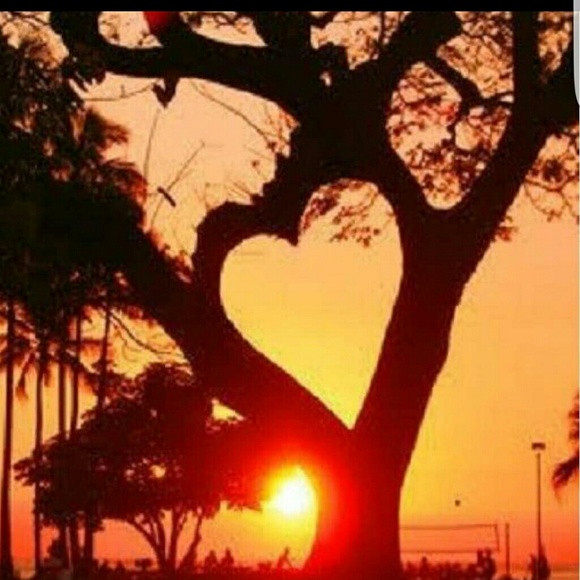 Meet your Posher - Picture 2 of 3