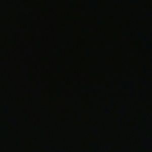 Meet your Posher, Sylvia