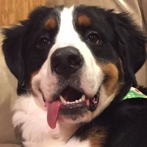 Meet your Posher, Katarina