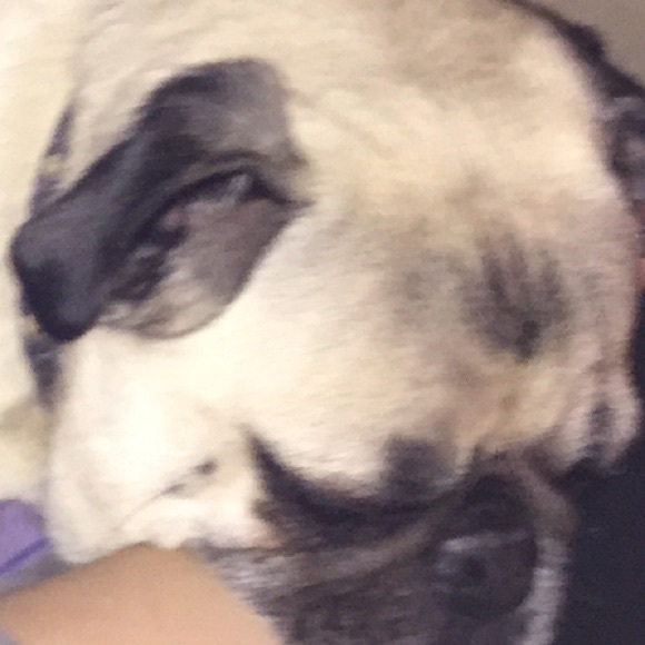 Meet your Posher, Marissa