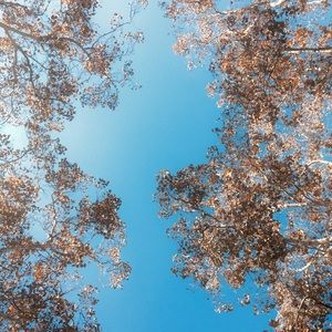 Meet your Posher, Shwun