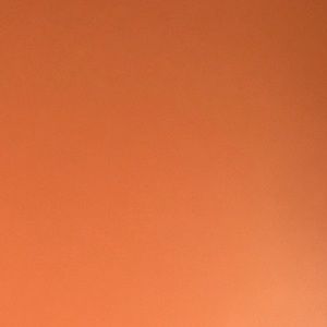 Meet your Posher, Paige