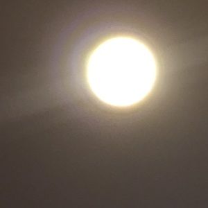 Meet your Posher, Jesper