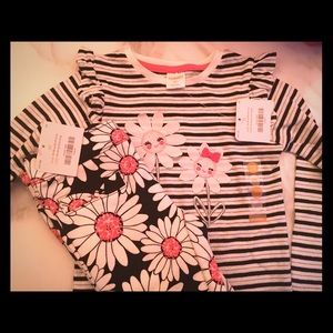 NWT Gymboree toddler girl shirt and pants set, 2T