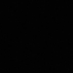 Meet your Posher, Lizzie