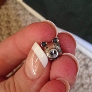 Pandora charm