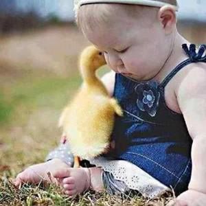 Meet your Posher, Anne