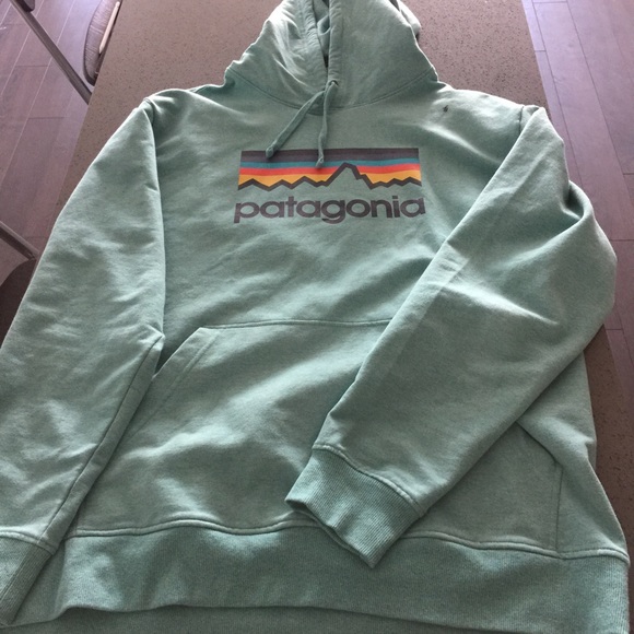 Patagonia hoodie