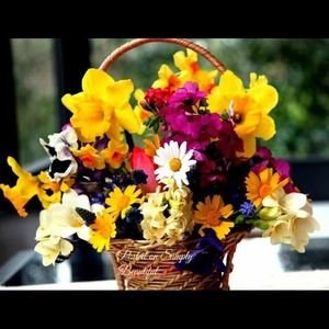 Meet your Posher, Leonor