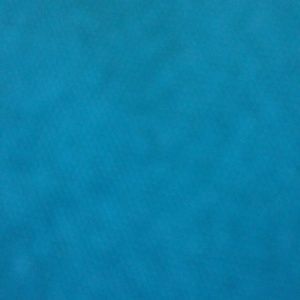 Meet your Posher, Tziah