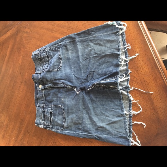 Citizens of Humanity Skirt