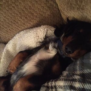 Meet your Posher, Christy