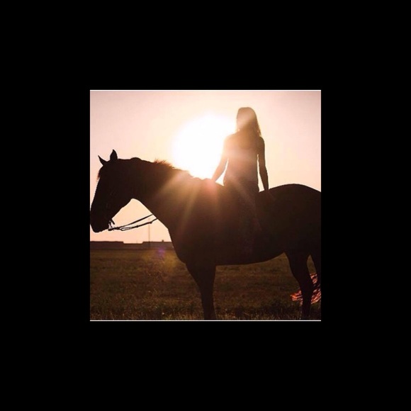 Meet your Posher, Ava - Picture 1 of 1