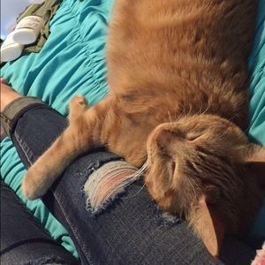 Meet your Posher, Mikenzy