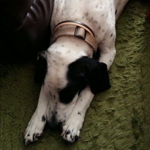 Meet your Posher, Antonio