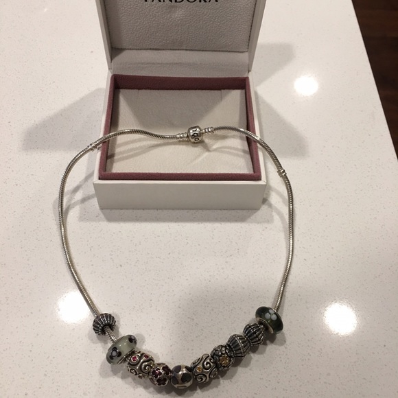 Pandora Necklace with charms