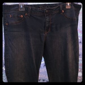 Torrid Source of Wisdom Jeans